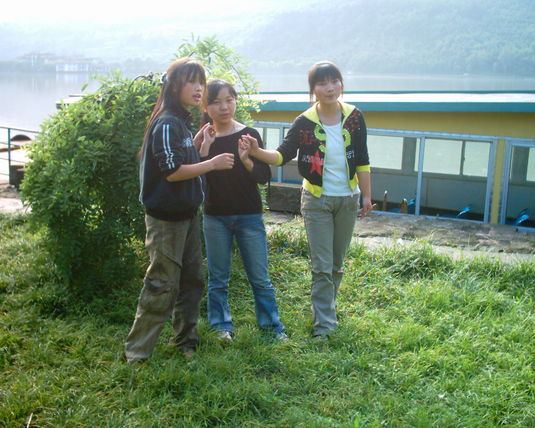 2006  (11)